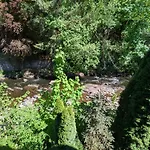 Refugium Altstadt * مونشاو